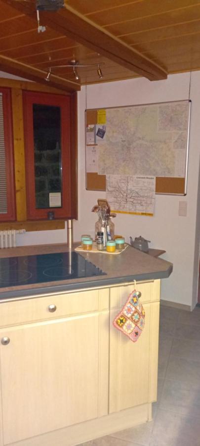 הוילה דרזדן Winzerhaus Rissweg 15 מראה חיצוני תמונה