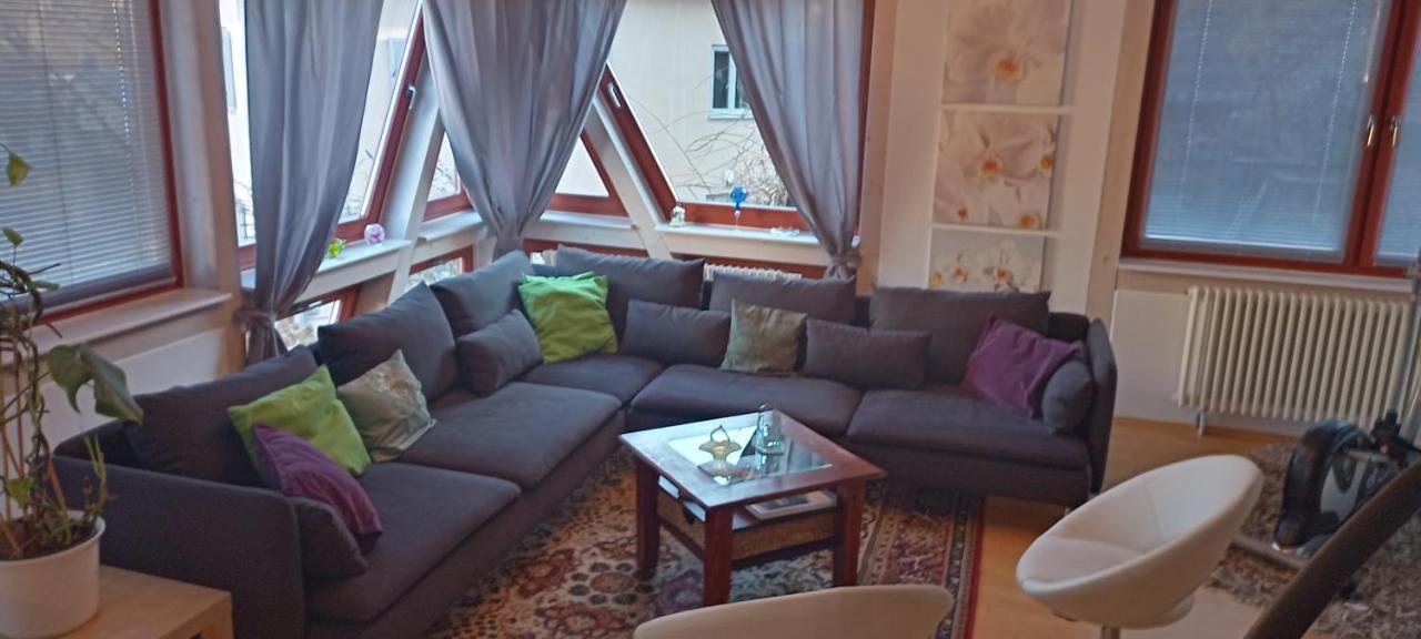 הוילה דרזדן Winzerhaus Rissweg 15 מראה חיצוני תמונה
