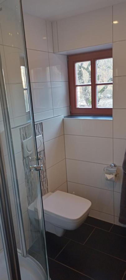הוילה דרזדן Winzerhaus Rissweg 15 מראה חיצוני תמונה