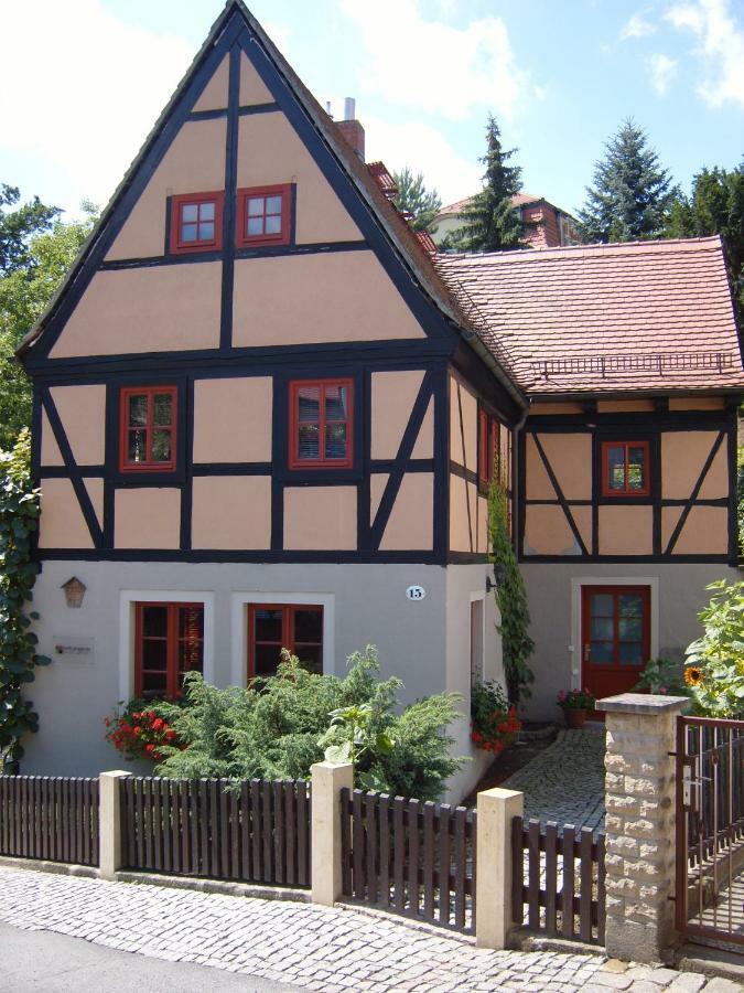 הוילה דרזדן Winzerhaus Rissweg 15 מראה חיצוני תמונה